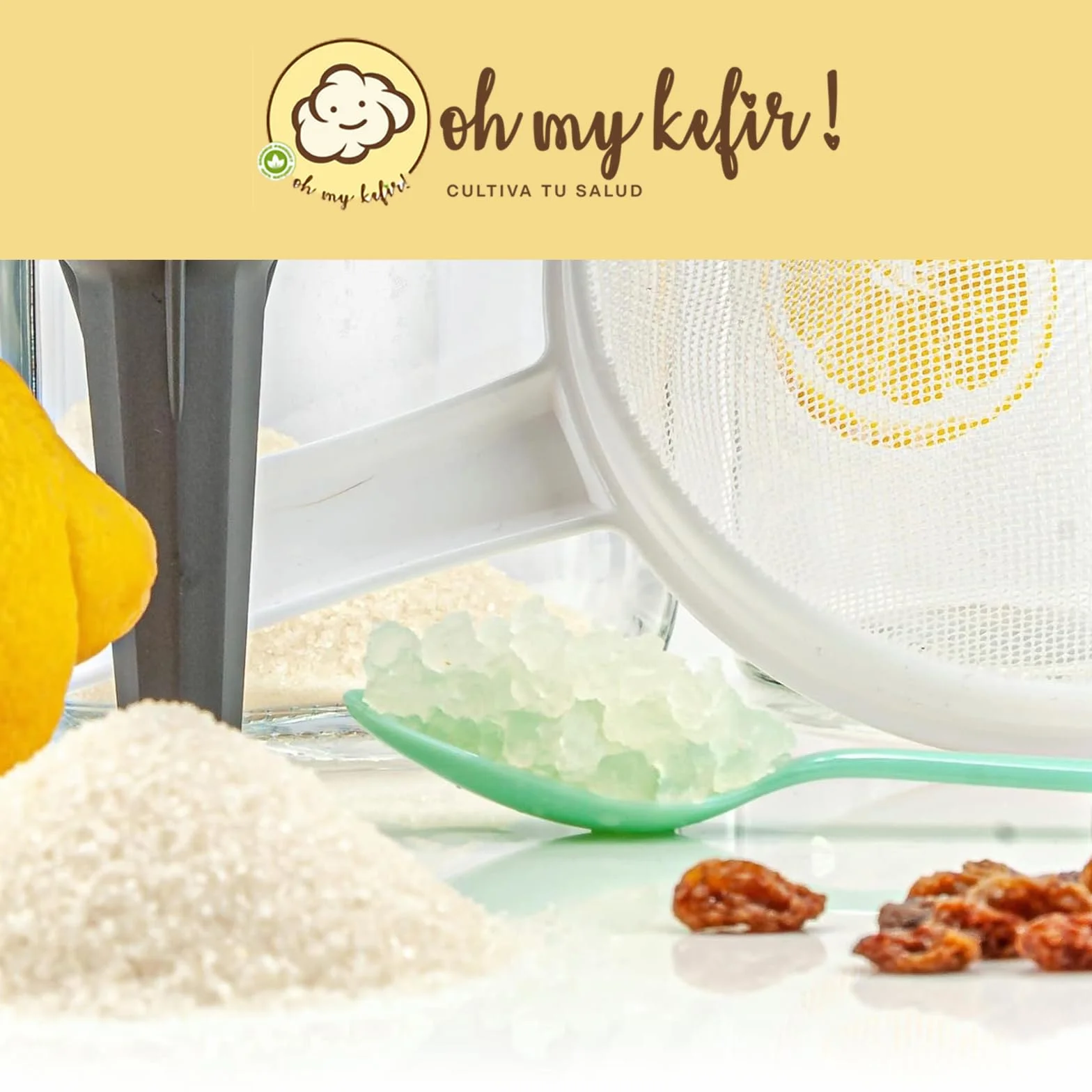 Hongo/Nódulos Frescos de Kéfir de Agua + Instrucciones + Recetas + Ayuda y Asesoramiento en español - OH MY KÉFIR®